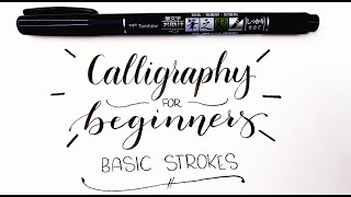 Calligraphy For Beginners Basic Strokes [upl. by Ahsila870]