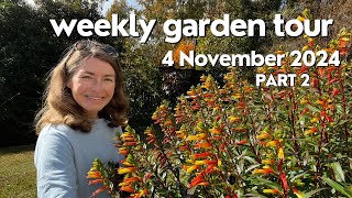 Weekly Garden Tour 3 November 2024 part 2 [upl. by Niwle405]