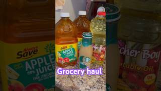 FOOD STAMPS GROCERY HAUL [upl. by Autrey520]