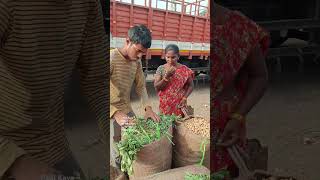 Groundnut palli Kaya peanut 🥜 today bowenpally vegetable market farmersmarket streetfood dty vlog [upl. by Anidem]