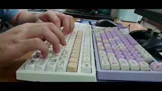 Xinmeng X98  Leobog Greywood v3 Switches  MOA Keycaps [upl. by Lecirg]