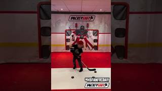 POV You turn your basement into HockeyTown Powered by HockeyShot🔥 hockeyshot superdeker [upl. by Yendahc709]