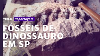 Ossos de dinossauros encontrados durante obra em SP [upl. by Ermengarde]