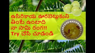 Usirikaya Oorabettatam Ela ఉసిరికాయ ఊరబెట్టడం ఎలా  Indian Gooseberry Usirikaya ura pettadam [upl. by Bree]