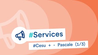 Cesu   Parole de particuliers employeurs Pascale 13 [upl. by Eeimaj]