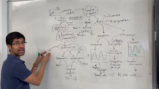 Populations and sustainability revision mindmap OCR A biology [upl. by Marius]