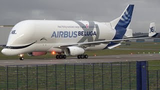 BRAND NEW  BELUGA XL6 A330743L STUNNING ARRIVAL AT HAWARDEN AIRPORT CEGEGNR  XL5 ✈️ [upl. by Aziram]