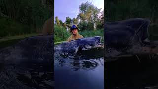 What a big fish  fish man viralvideo foryou fishing shortsvideo [upl. by Fakieh]