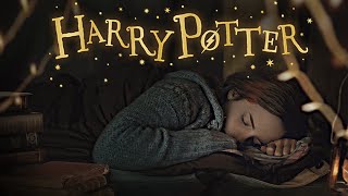 ASMR 😴 Sleep in the Magical Tent with Harry Ron amp Hermione  Ambience amp Soft Music  RAIN sounds [upl. by Sorodoeht938]