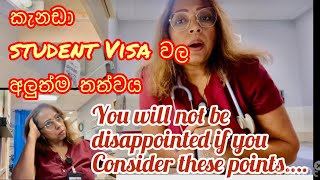 කැනඩාව Student Visa වල අලුත්ම තත්ත්වය student visa still available Nurse Greener Pasture [upl. by Pollux]