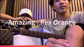 Amazing  Rex Orange County [upl. by Manwell275]