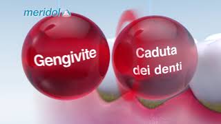 Dentifricio e collutorio meridol® per la prevenzione dei problemi gengivali [upl. by Ylicec]