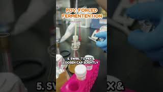 POV Forced Fermentation [upl. by Stanislas]