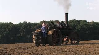 Historia de la agricultura  Línea de tiempo [upl. by Sorensen351]