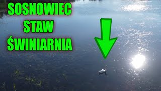 Sosnowiec  STAW ŚWINIARNIA mało znany [upl. by Destinee232]