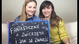 Fantastyczne zwierzęta i jak je znaleźć książka i film bez Harrego Pottera KrótkaPrzerwa10 [upl. by Rhianna]