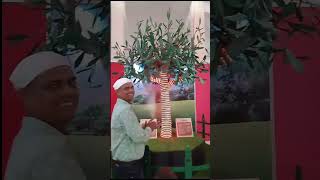 to clap tree light on off shorts viralvideo ytshortsindia ytshorts youtubeshorts vlog [upl. by Enaelem]