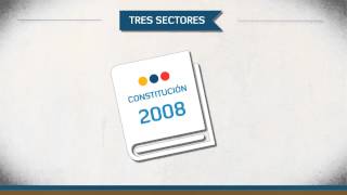 Sectores del Sistema Financiero Nacional [upl. by Lladnek]