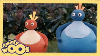 This Way That Way  Twirlywoos  Videos for Kids [upl. by Salman]