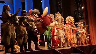 Disneys The Lion King Musical  Lyceum Theatre London January 2024 Curtain Call [upl. by Oulman]