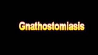 What Is The Definition Of Gnathostomiasis  Medical Dictionary Free Online Terms [upl. by Vharat]