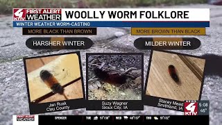 Are woolly worms accurate winter forecasters [upl. by Niletak]