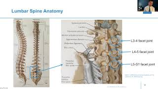 Where Does Back Pain Come From [upl. by Uhayile151]