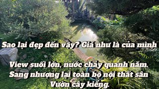 view này chill quá mát rười rượi vào là không muốn ra luôn mà anh chủ còn hạ giá thêm 300 triệu [upl. by Nolahp677]