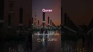 Tilawat e Quran e Pak full recitation سورۃ الانفال foryou viralvideo shortvideo youtubeshorts [upl. by Gilmour796]