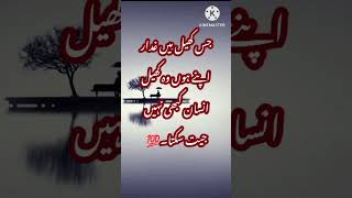 Never trust blindly  Urdu quote  quote  golden words  Hindi story [upl. by Gabrielson735]