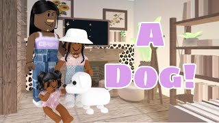 We found a dog  Bloxburg roleplay [upl. by Luehrmann]