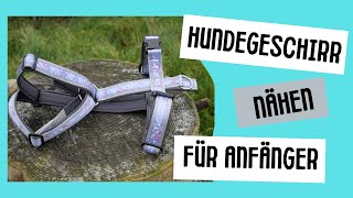 Hundegeschirr nähen DIY für Anfänger verstellbares Geschirr Hund nähen gratis Anleitung [upl. by Shena]