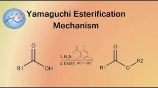 Yamaguchi Esterification Mechanism  Organic Chemistry [upl. by Nytnerb]