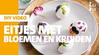 Intratuin  Eitjes met bloemen en kruiden  DIY [upl. by Aydiv]