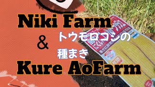 トウモロコシの種まき Kure Aofarm 2024415 [upl. by Naujik]