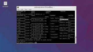 04 Remove one or more docker container [upl. by Ardnaed]