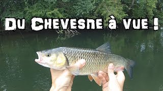 Pêche du CHEVESNE à VUE  quotSavoir prendre son tempsquot [upl. by Simonne]