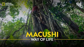 Macushi Way of Life  Primal Survivor  हिन्दी  Full Episode  S4  E1  National Geographic [upl. by Kamillah]