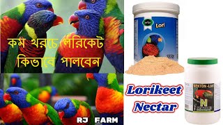 কম খরচে লরিকেট কিভাবে পালবেন। কি খাবার দিবেন। lorikeet bird food Lorikeet Parrot [upl. by Yrtsed]