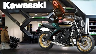 2025 NEW KAWASAKI Z650RS UNVEILED A LOT HAS CHANGED VISUALLY  FROM GOOD TO VERY GOOD [upl. by Waite]