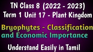 Bryophytes  Classification and Economic Importance Class 8 Science Term 1 Unit 17 Plant Kingdom [upl. by Otreblide511]