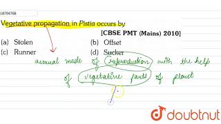 Vegetative propagation in Pistia occurs by [upl. by Earahc355]