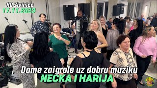 Dame zaigrale uz dobru muziku Nećka i Harija quotHD Živinicequot 17112023 [upl. by Naaman]