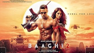 Baaghi 2 2024 Bollywood New Movie in Hindi  Explained [upl. by Emse]