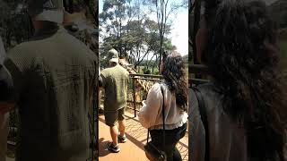 Daily 💖nature travel inspiration short shorts shortsfeed shortvideo shortsvideo shortsviral [upl. by Hilda]