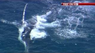 Shark feeding frenzy off WAs coast  9 News [upl. by Llerrehc]