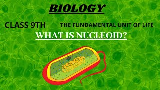 WHAT IS NUCLEOID  CELL  SIMPLEST WAY TO LEARN  NCERT  BIOSCIFY [upl. by Atnom]