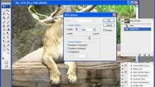 Photoshop  resizing multiple photos [upl. by Neelhsa]