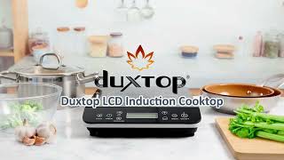 Duxtop Portable Induction Cooktop [upl. by Crespo]