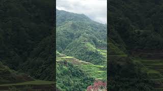 banaue banauericeterraces naturelovers [upl. by Anelet]